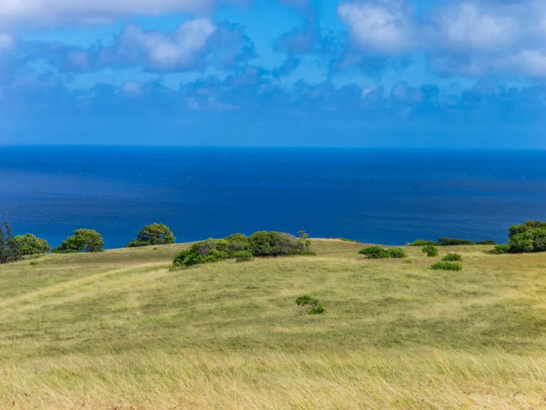 58-248 Kamehameha Hwy, Haleiwa Hwy, HI 96712