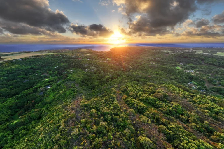 6565-C Koolau Rd