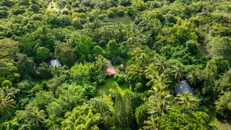6565-C Koolau Rd