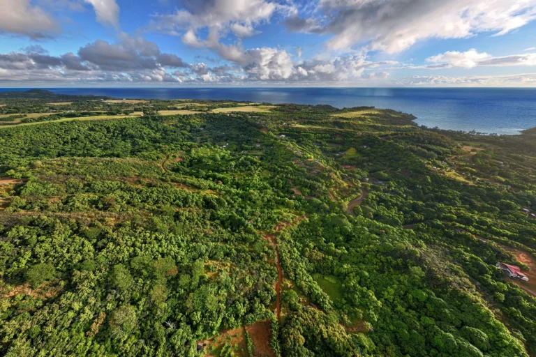 6565-C Koolau Rd