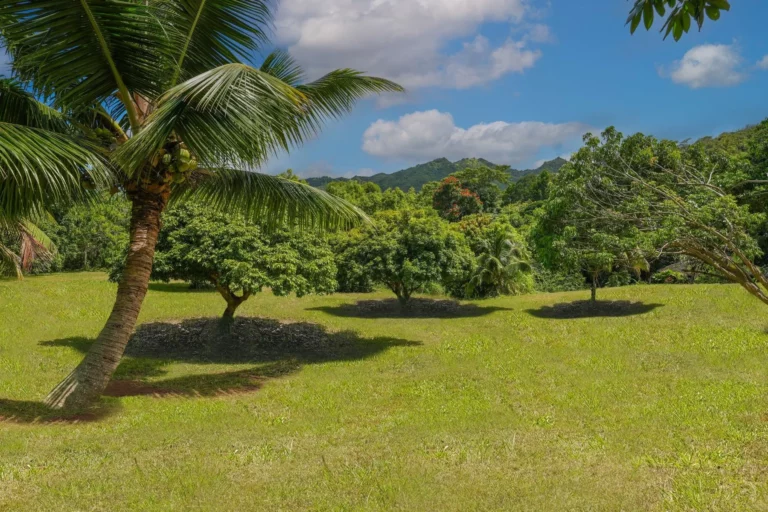 6565-C Koolau Rd