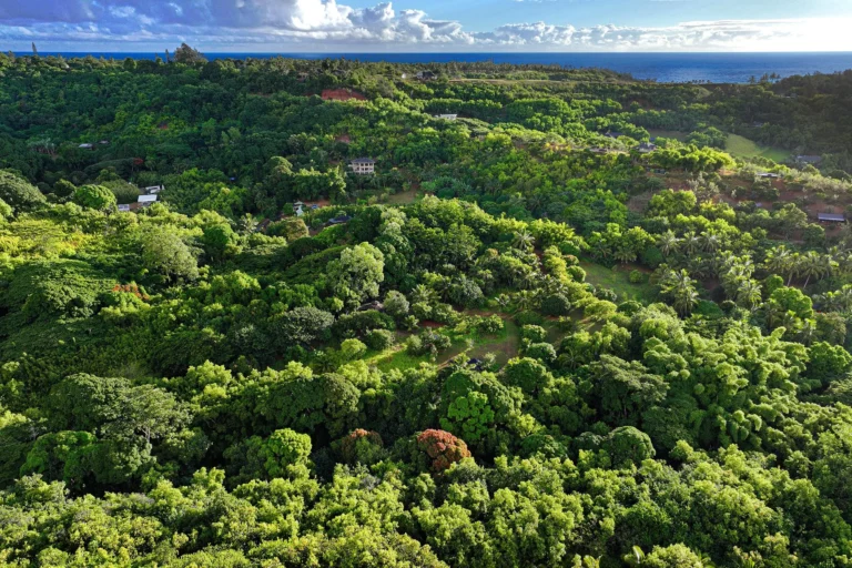 6565-C Koolau Rd
