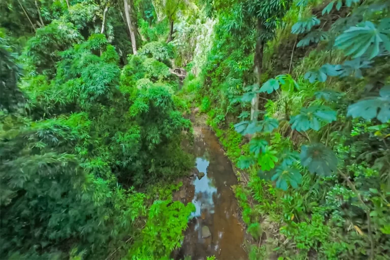6565-C Koolau Rd