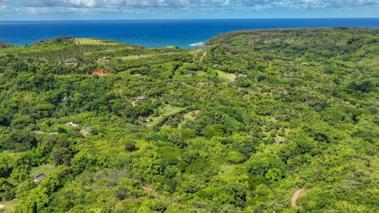 6565-C Koolau Rd