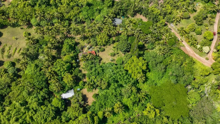 6565-C Koolau Rd