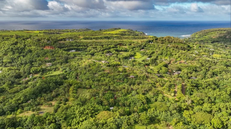 6565-C Koolau Rd
