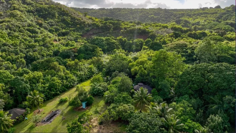 6565-C Koolau Rd