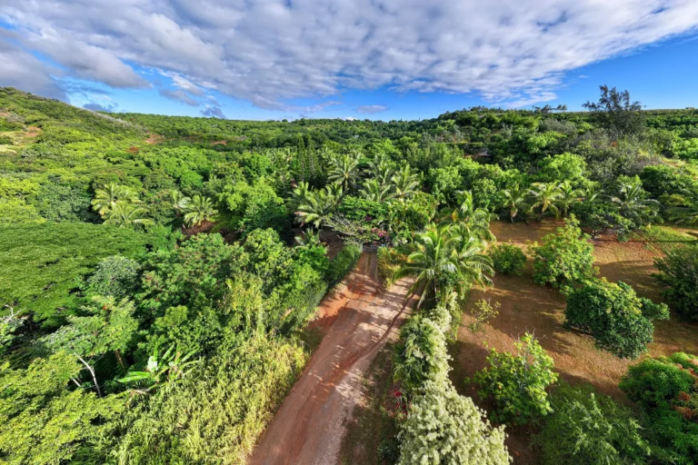 6565-C Koolau Rd