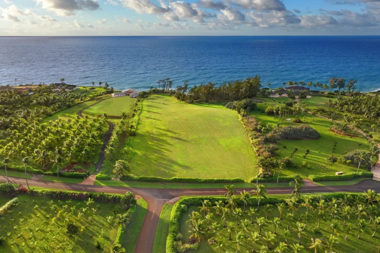 Kapoli St, Kealia, HI 96746