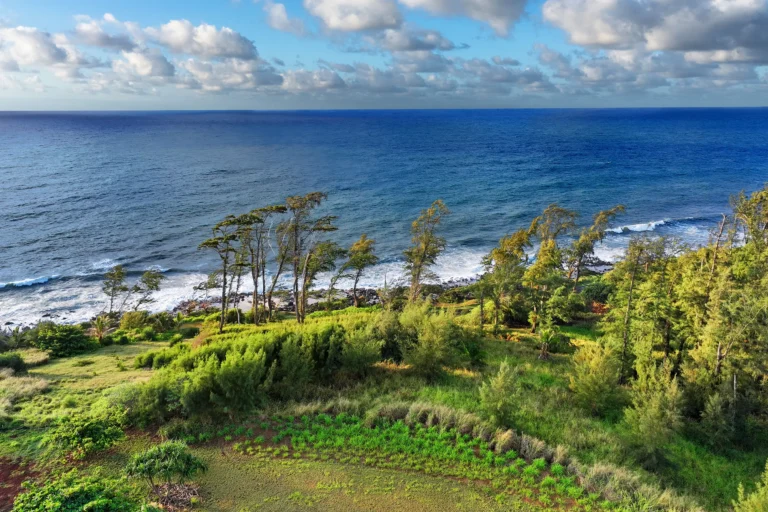 Kapoli St, Kealia, HI 96746