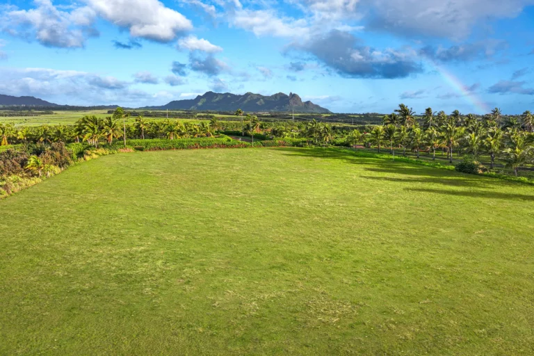 Kapoli St, Kealia, HI 96746