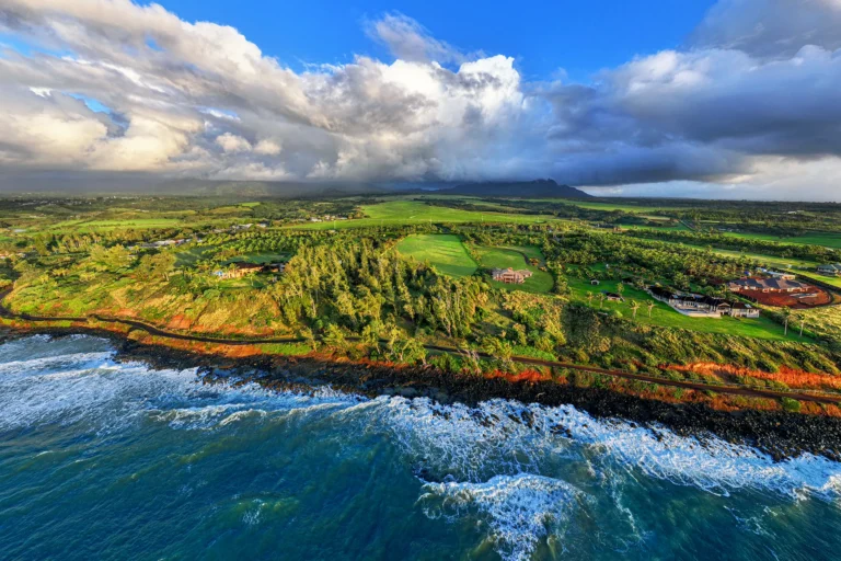 Kapoli St, Kealia, HI 96746