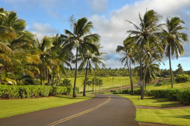 Kapoli St, Kealia, HI 96746