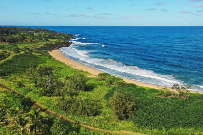 Kapoli St, Kealia, HI 96746