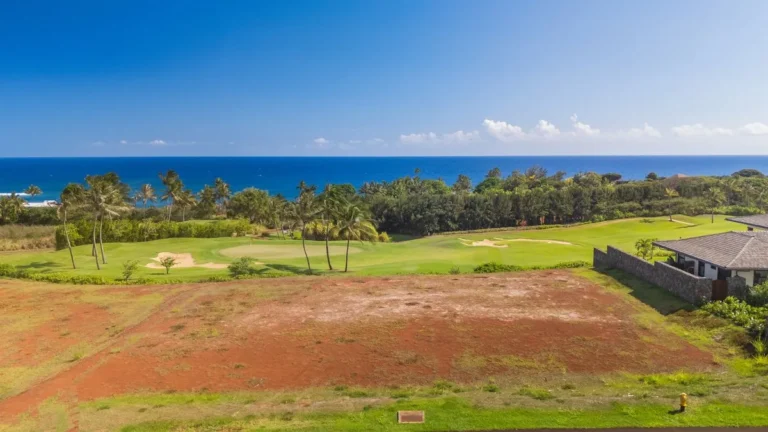 Noho Kai St #3, KOLOA, HI 96756