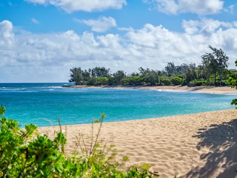 58-1 Makanale St, Haleiwa Hawaii 96712