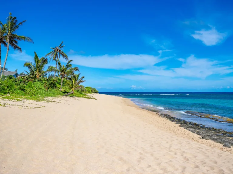 58-1 Makanale St, Haleiwa Hawaii 96712