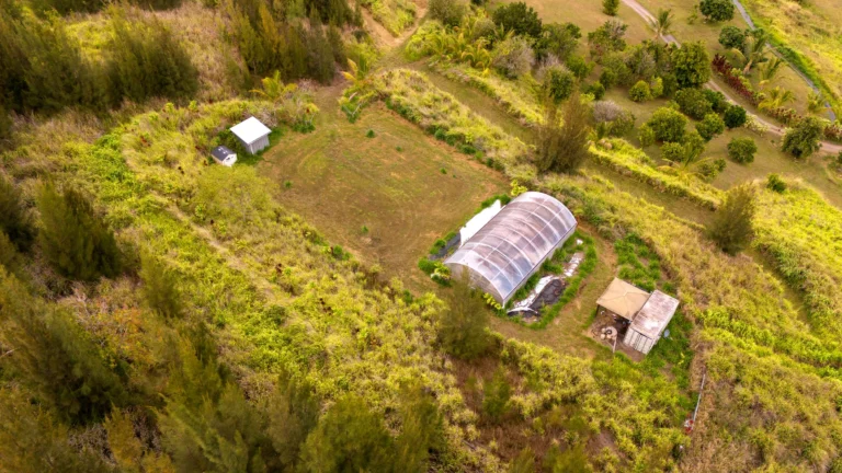 47-4567 Honokaa Waipio Rd, Honokaa, HI 96727