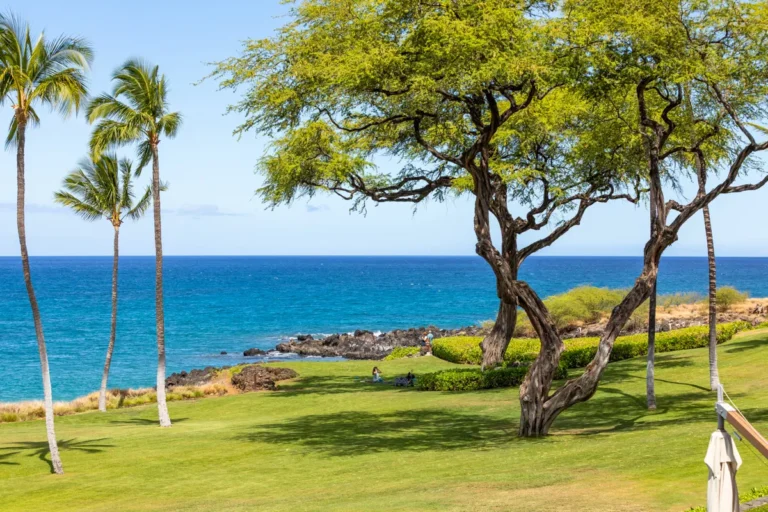 66-84 Kaunaoa Dr, #B23, Kamuela, Hi 96743