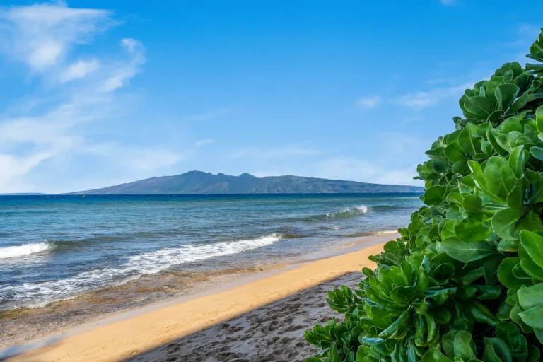 110 Kaanapali Shores Pl #615