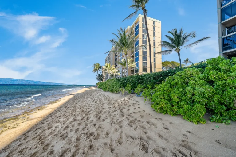 110 Kaanapali Shores Pl #615