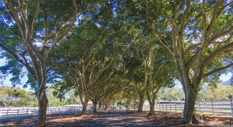 41-569 Makakalo, Waimanalo
