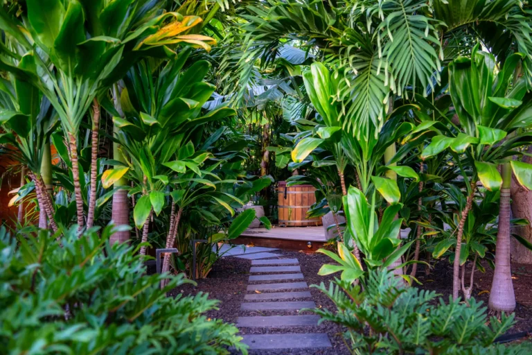 69-1687 Puako Beach Dr Kamuela, HI 96743