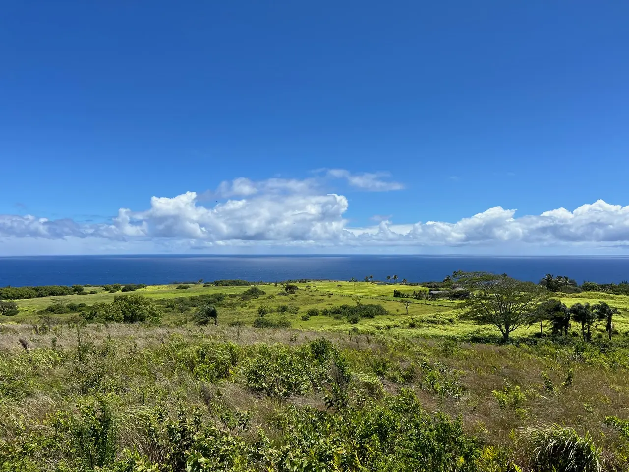 Peahi Estates