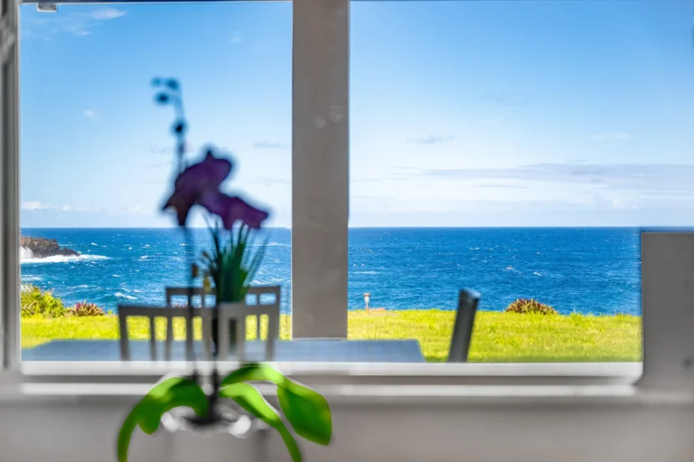 1004 N Honokala Rd UNIT B