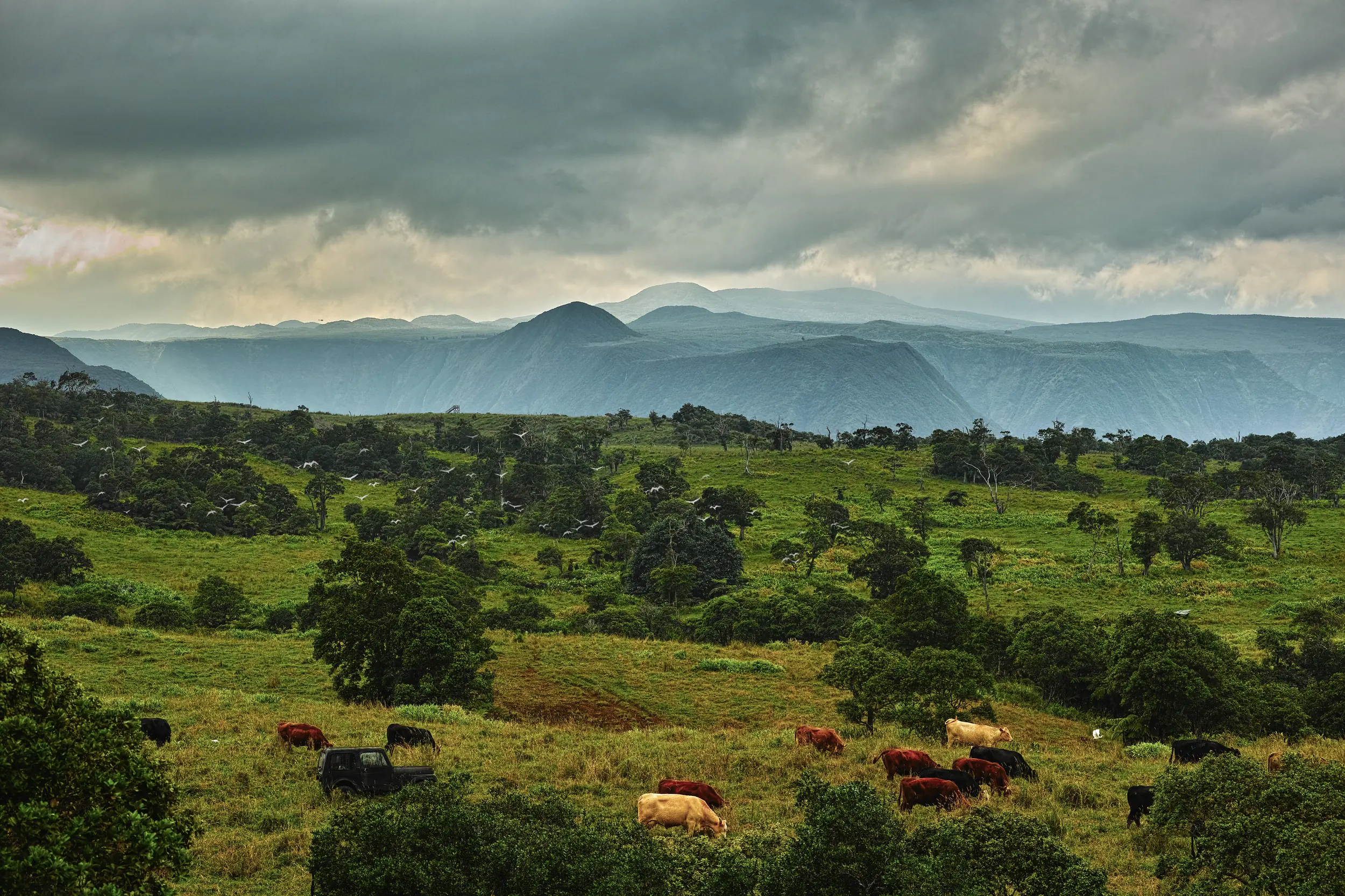 Waipi'o Valley Reserve