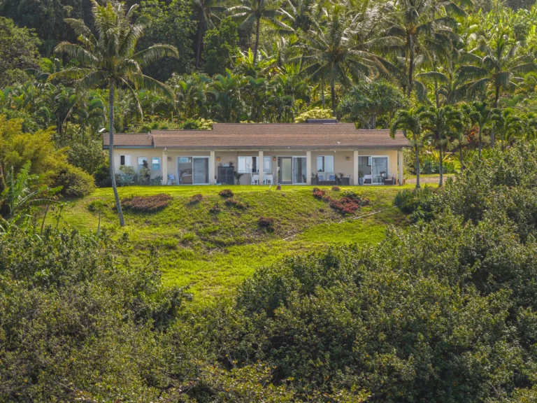 1004 N Honokala Rd UNIT B