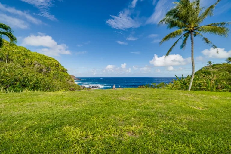 1004 N Honokala Rd UNIT B