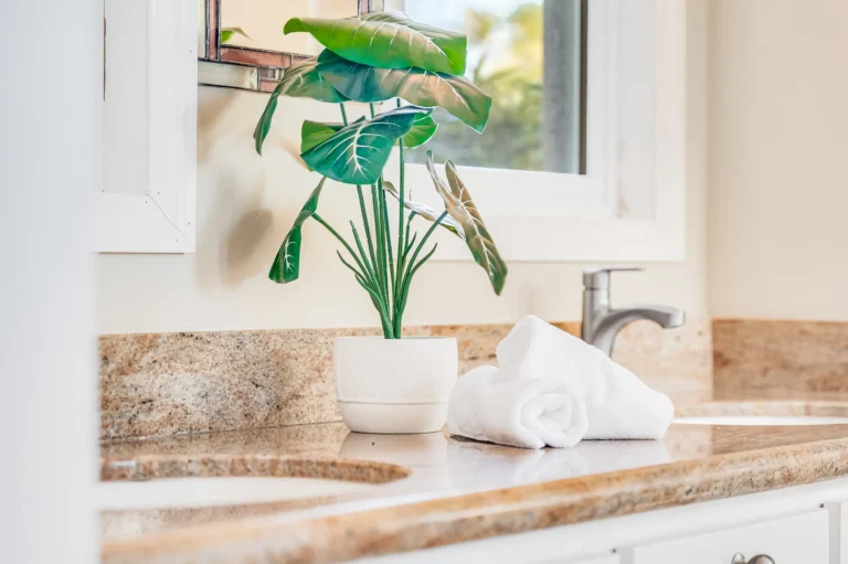 1004 N Honokala Rd UNIT B