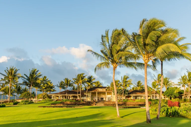 3016 ALA HAKU LEI LP