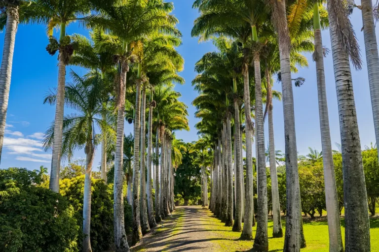 34-144 Kaihuiki Rd, Papaaloa