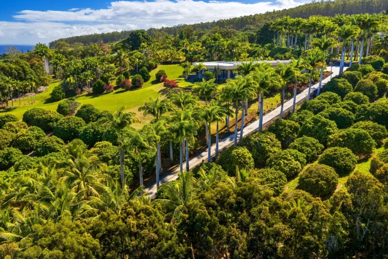 34-144 Kaihuiki Rd, Papaaloa