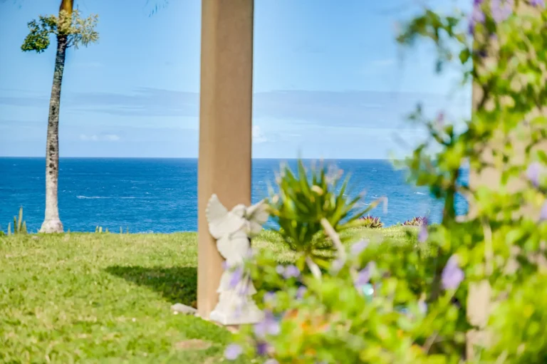 1004 N Honokala Rd UNIT B