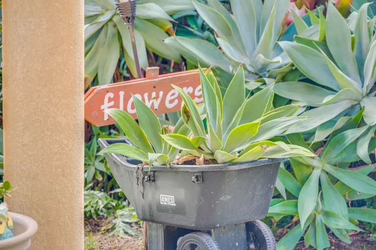 1004 N Honokala Rd UNIT B