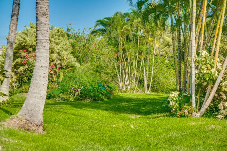 1004 N Honokala Rd UNIT B