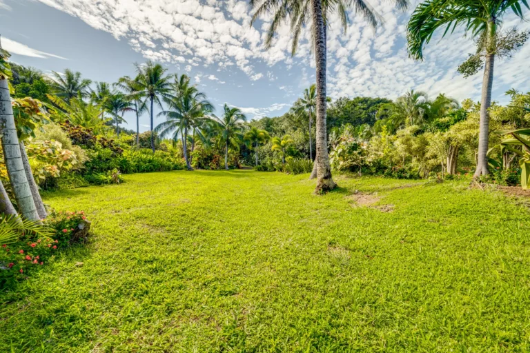 1004 N Honokala Rd UNIT B