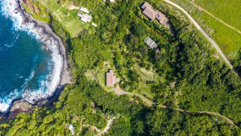 1004 N Honokala Rd UNIT B