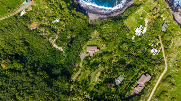 1004 N Honokala Rd UNIT B