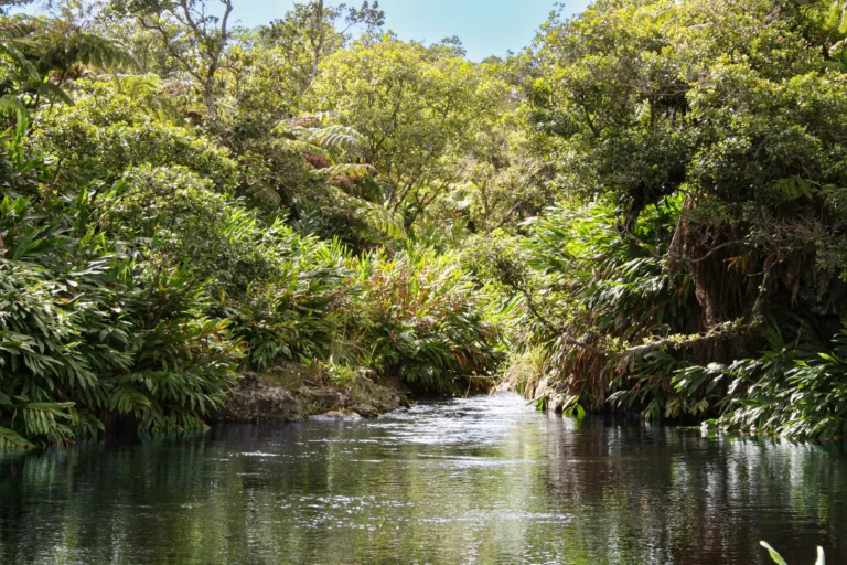 47-5343 W Waikoekoe Ln