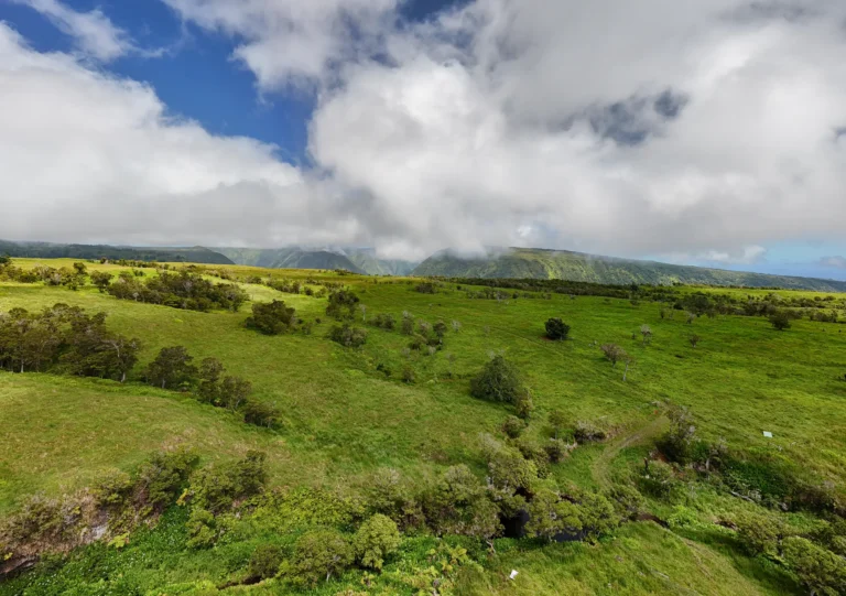 47-5343 W Waikoekoe Ln