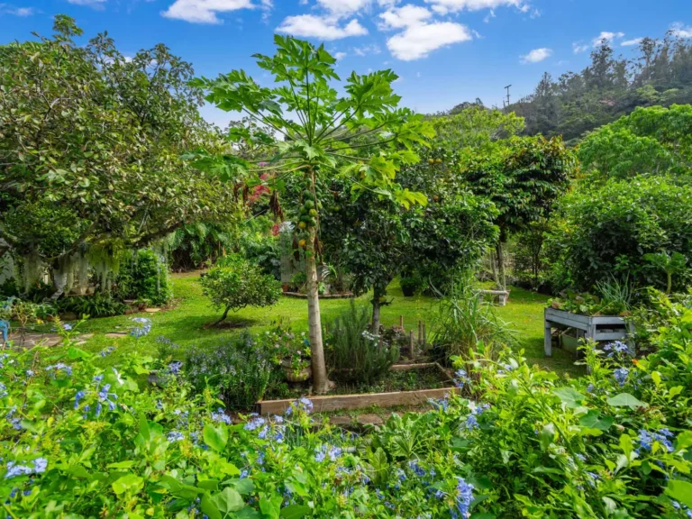 59-742 Kamehameha Highway Unit #C