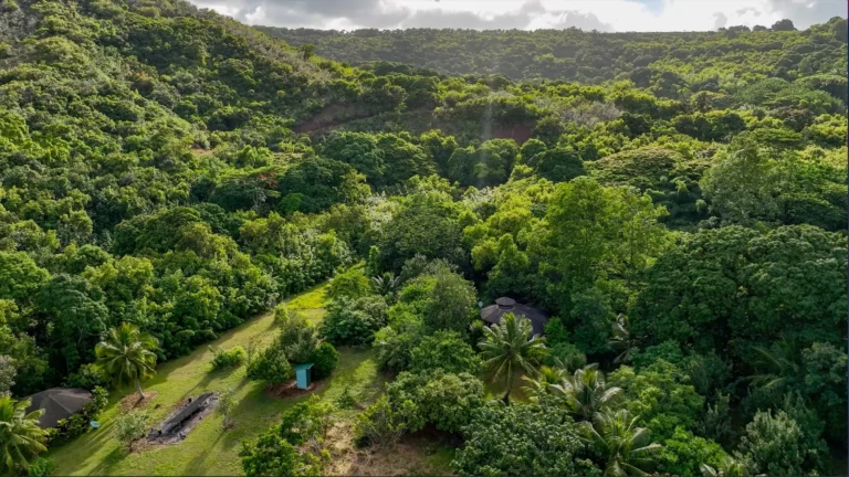 6565-C KOOLAU RD, ANAHOLA, HI 96746