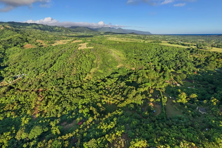 6565-C KOOLAU RD, ANAHOLA, HI 96746