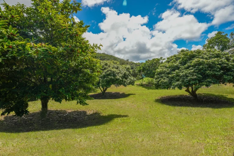 6565-C KOOLAU RD, ANAHOLA, HI 96746