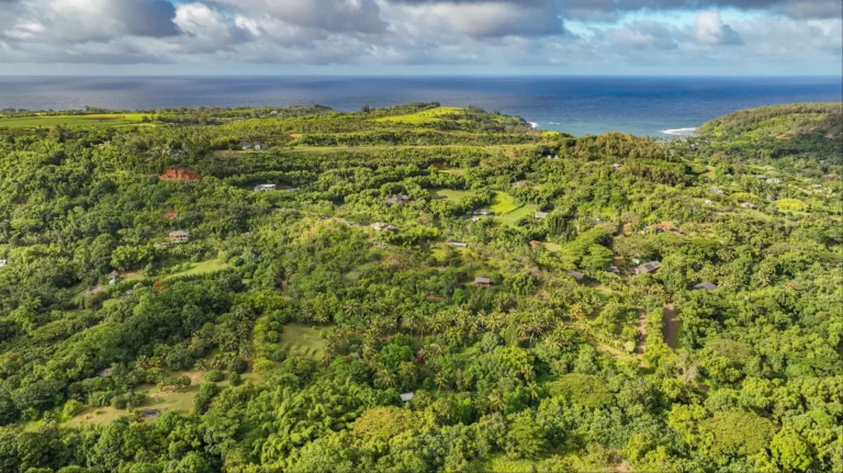 6565-C KOOLAU RD, ANAHOLA, HI 96746