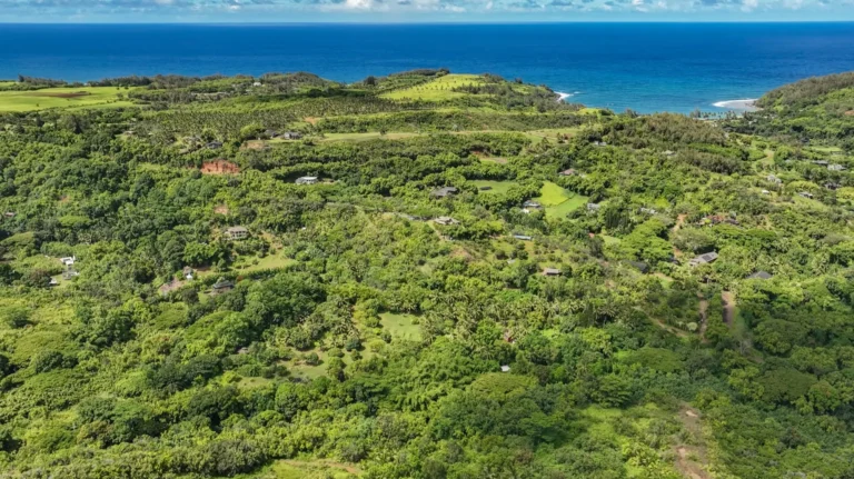 6565-C KOOLAU RD, ANAHOLA, HI 96746